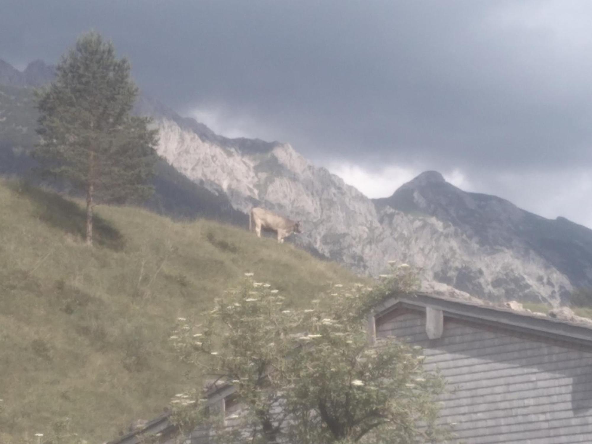 Holzhaus Besler Villa Bad Hindelang Bagian luar foto